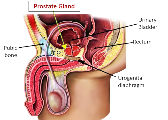 Prostate care